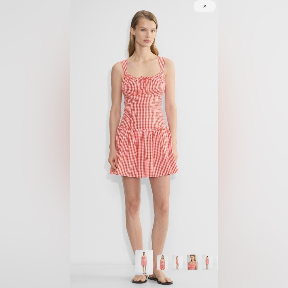Aritzia Strudel Poplin Dress